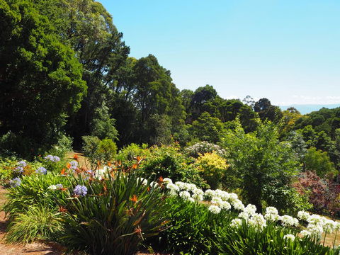 Murrindindi - Accommodation Ballina 0