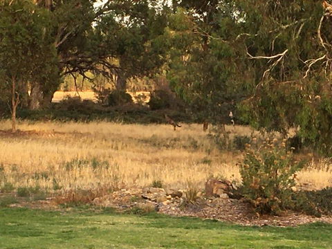 Murrord Wetlands - Accommodation Ballina 3