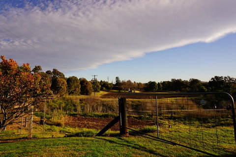 Muswellbrook Northside B&B - Accommodation Ballina 3