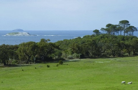 Cosy Corner Sea View Apartments - Accommodation Ballina 7