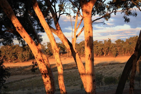 Hotham Ridge Estate - Accommodation Ballina 30