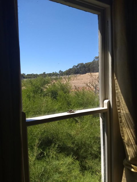 Hotham Ridge Estate - Accommodation Ballina 8