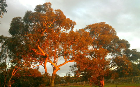 Hotham Ridge Estate - Accommodation Ballina 35