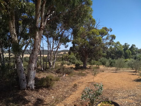 Hotham Ridge Estate - Accommodation Ballina 13