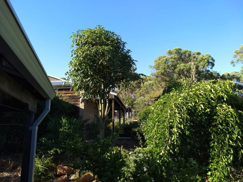 Hotham Ridge Estate - Accommodation Ballina 5