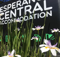 Esperance Central Accommodation - Accommodation Ballina