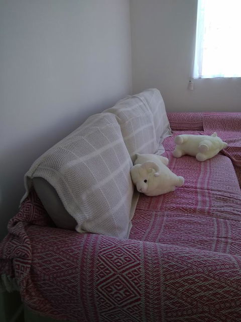 DIANELLA Budget Rooms Happy Place To Stay - Accommodation Ballina 29