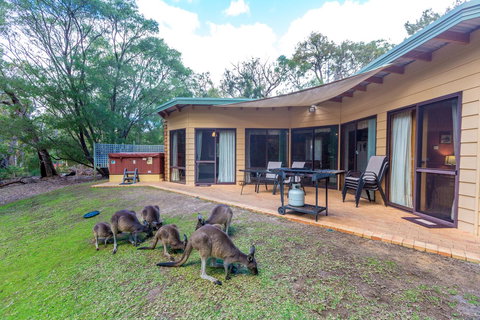 Yelverton Brook Conservation Sanctuary - Accommodation Ballina 18