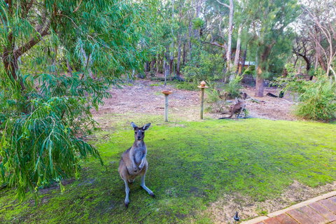 Yelverton Brook Conservation Sanctuary - Accommodation Ballina 11