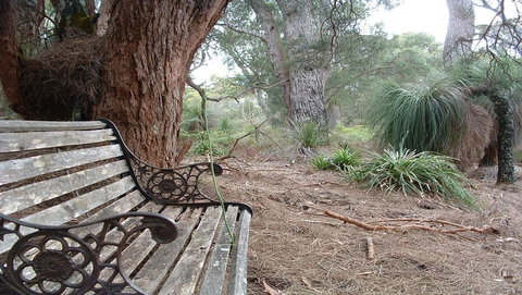 Yelverton Brook Conservation Sanctuary - Accommodation Ballina 42