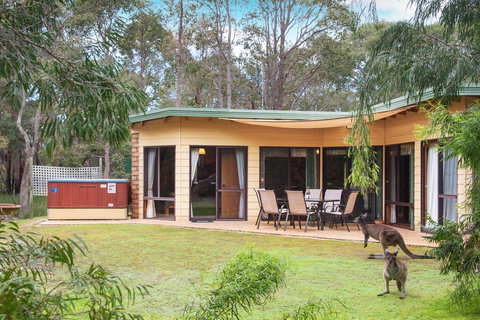 Yelverton Brook Conservation Sanctuary - Accommodation Ballina 20