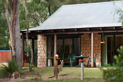Yelverton Brook Conservation Sanctuary - Accommodation Ballina 36