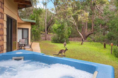 Yelverton Brook Conservation Sanctuary - Accommodation Ballina 9