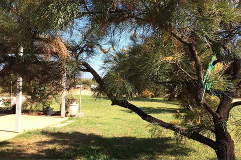 Ocean View Homestead - Accommodation Ballina 23