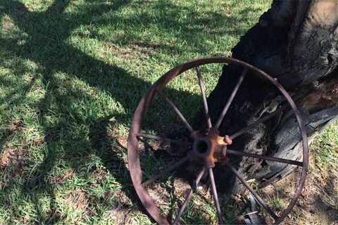 Ocean View Homestead - Accommodation Ballina 29