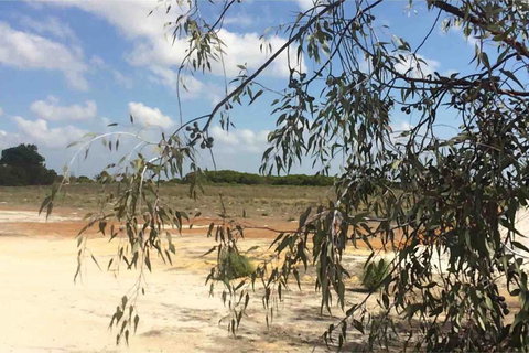 Ocean View Homestead - Accommodation Ballina 16