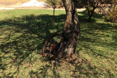 Ocean View Homestead - Accommodation Ballina 18