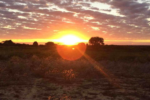 Ocean View Homestead - Accommodation Ballina 11