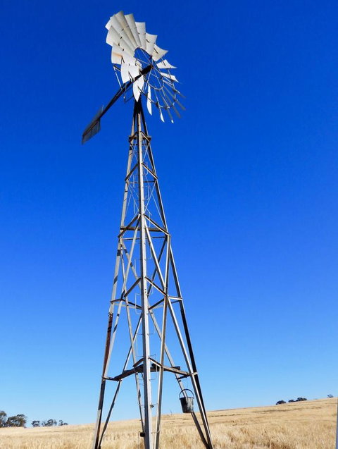 Daisy Cottage - Accommodation Ballina 3