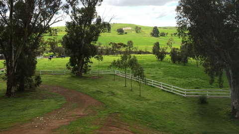 Daisy Cottage - Accommodation Ballina 22