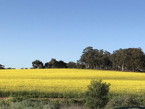 Daisy Cottage - Accommodation Ballina 6