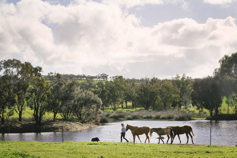 Daisy Cottage - Accommodation Ballina 28