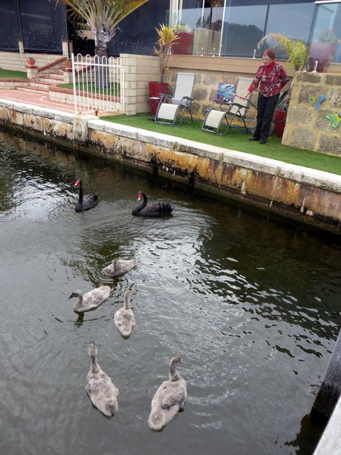 Yunderup Kannie Kottage - Accommodation Ballina 14