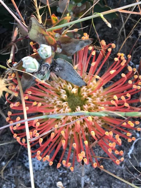 The Mains Guest House 2 Bedroom Farm Stay - Accommodation Ballina 18