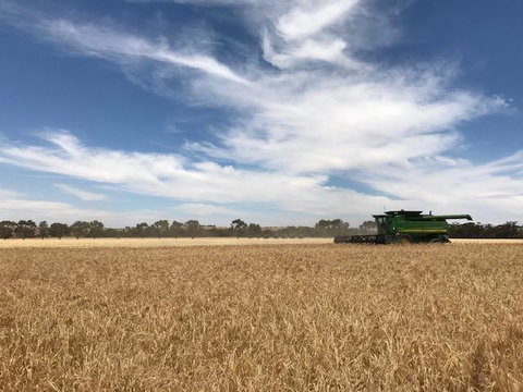 The Mains Guest House 2 Bedroom Farm Stay - Accommodation Ballina 17