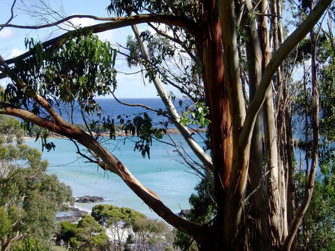 Seascape Beach House - Accommodation Ballina 8