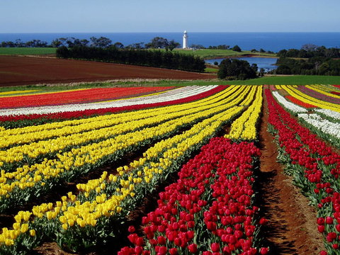 Seascape Beach House - Accommodation Ballina 27