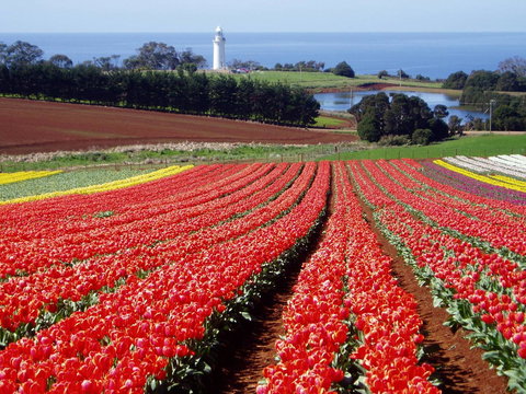 Seascape Beach House - Accommodation Ballina 26