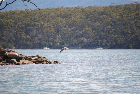 A Slice Of Paradise - Accommodation Ballina 18