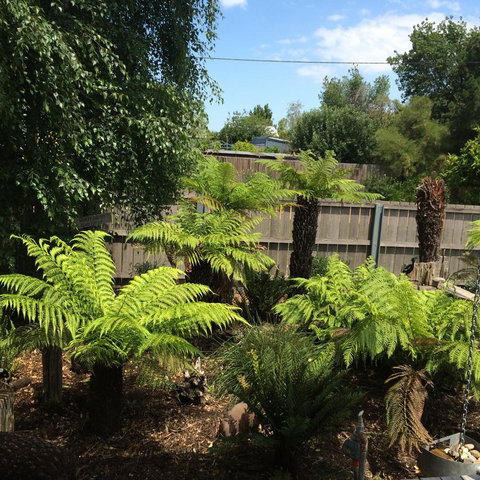 Pinestumps Holiday Home - Accommodation Ballina 14