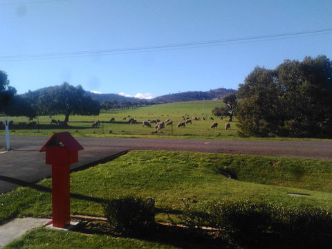 Pinestumps Holiday Home - Accommodation Ballina 11