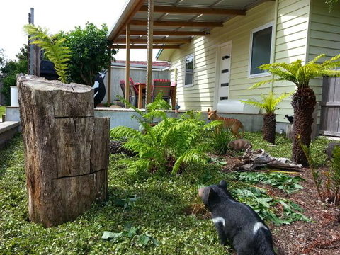 Pinestumps Holiday Home - Accommodation Ballina 12