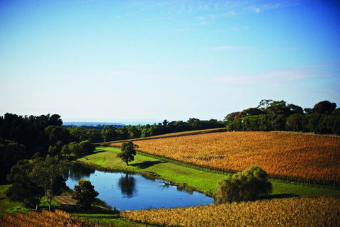 Port Phillip Estate - Accommodation Ballina 2