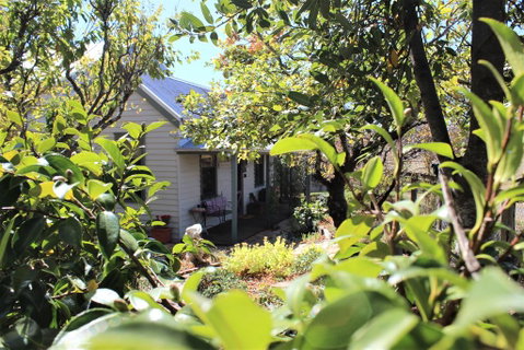 Quince Cottage - Accommodation Ballina 2