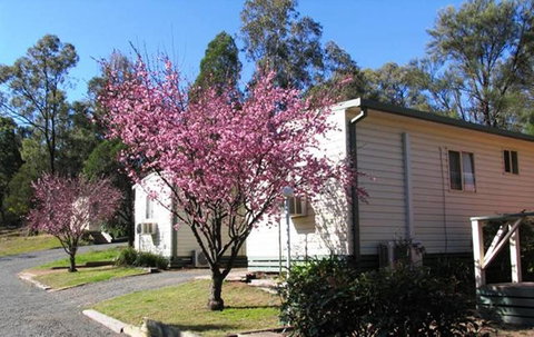 Sandy Hollow Tourist Park - Accommodation Ballina 3