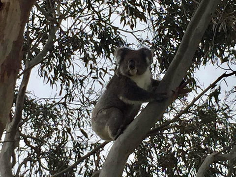 Seas The Day - Accommodation Ballina 1