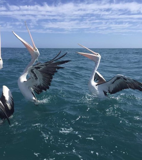 Seas The Day - Accommodation Ballina 3