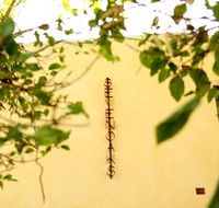 Siggy's Perth Accommodation - Accommodation Ballina