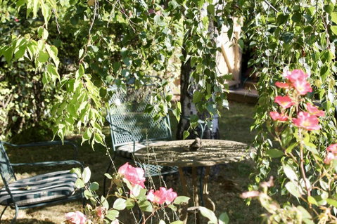 Silver Birch B&B - Accommodation Ballina 3