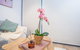 Simple & Cozy APT @Haymarket CBD (balcony Views) - thumb 2