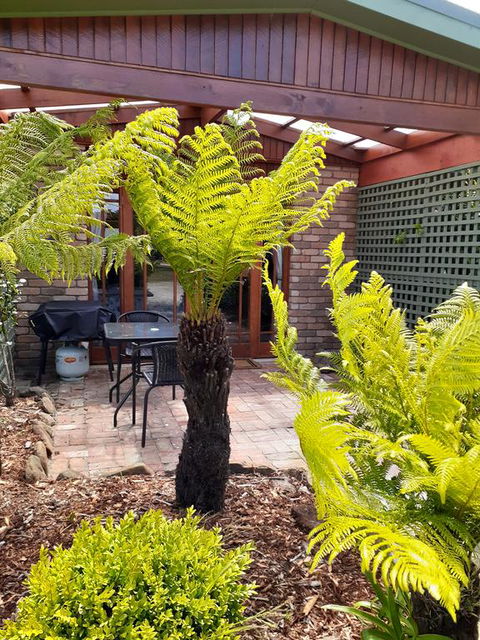 Sleepy Hollow Hideout (Hidout 2) - Accommodation Ballina 1