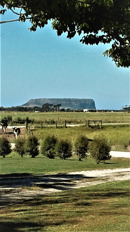 Sleepy Hollow Hideout - Hideout 1 - Accommodation Ballina 3
