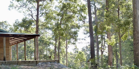 Southern Forest Escape Pemberton - Accommodation Ballina 1