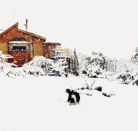 STUNNING HOME WITH AMAZING VIEWS - just 20 mins to the city and only 10 to MONA - Accommodation Ballina