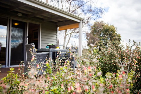 Sunnyside Cottage - Accommodation Ballina 2