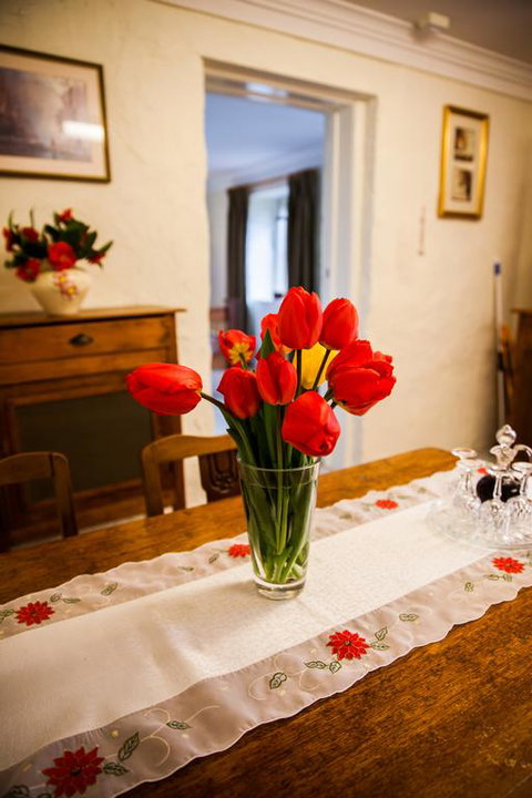 Sunnyside Cottage - Accommodation Ballina 3